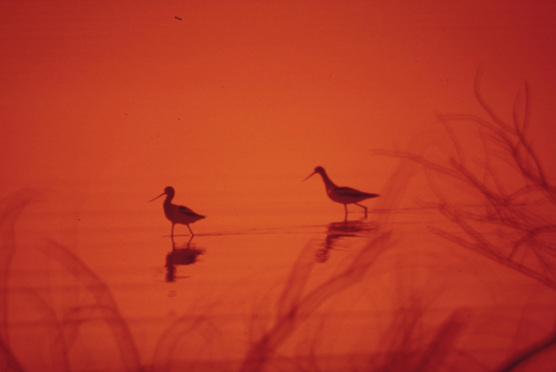 The Art of&nbsp;Connection